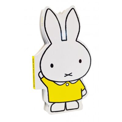 Imagier carton mes premiers mots - Miffy