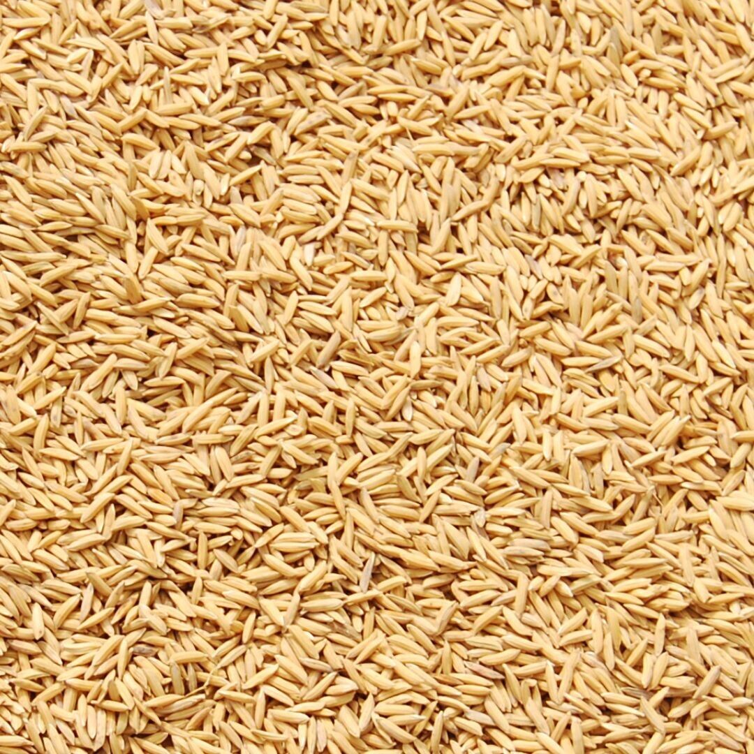 Riso integrale della Camargue