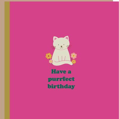 Have a purrfect birthday greetings card