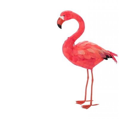 Sunshine State, Flamingo, stehend, M, hot orange