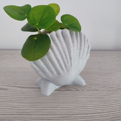 Scallop Shell Planter - Home and Garden Decoration.
