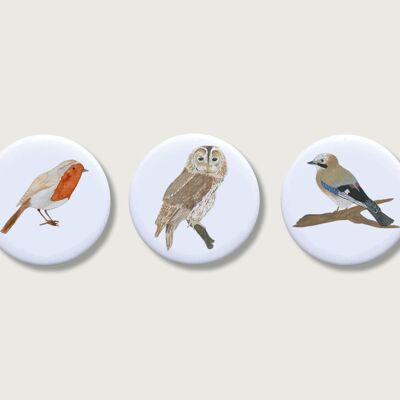 Magnete 3er Set "Vögel" | Magnet für Kinder | Tiere | Wald | Mädchen | Button | Buben | Jungs | Junge || HERZ & PAPIER