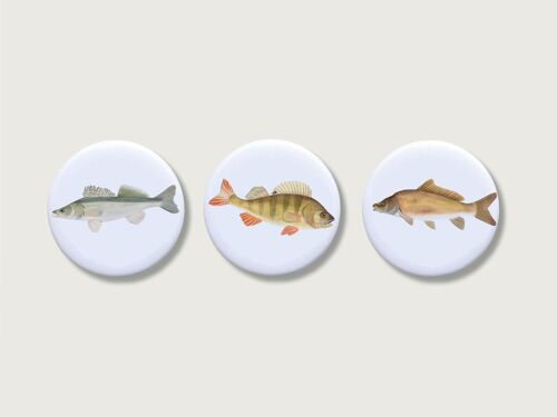 Magnete 3er Set "Fische" | Magnet für Kinder | Tiere | Wald | Mädchen | Button | Buben | Jungs | Junge || HERZ & PAPIER