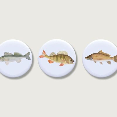 Set d'aimants de 3 "Poissons" | Aimant pour enfants | Animaux | forêt | Fille | Bouton | garçons | garçons | Garçon || COEUR & PAPIER