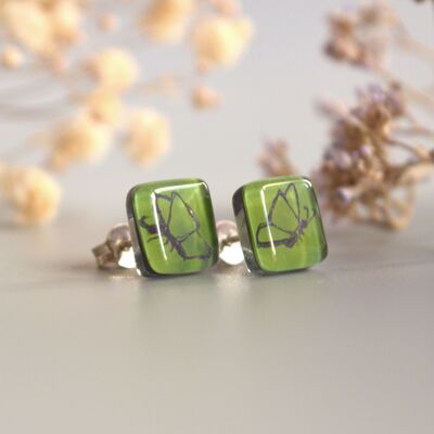 Green and black butterfly earrings, Small square stud earrings