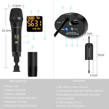 DEUX MICROPHONES Système de microphone sans fil W2 UHF Microphone à main dynamique, utilisé pour le karaoké et les réunions de famille via des mélangeurs, des systèmes de sonorisation 2