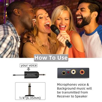 DEUX MICROPHONES Système de microphone sans fil W2 UHF Microphone à main dynamique, utilisé pour le karaoké et les réunions de famille via des mélangeurs, des systèmes de sonorisation 6