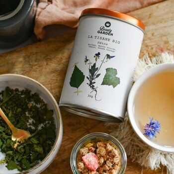 Tisane bio détox 2