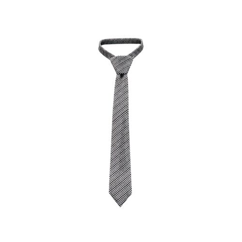 Cravate Pour Homme EREGANTO SkoleToon's