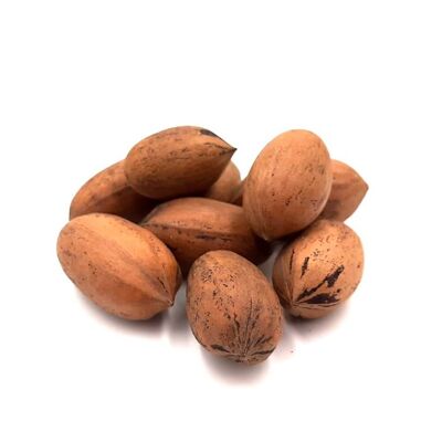 Organic Sicilian Pecan Nuts