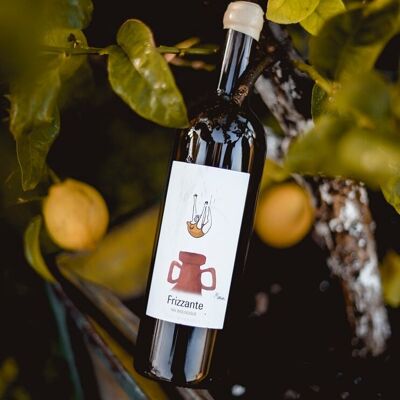 Vin Blanc Bio Floréal Sauvignon Gris pétillant 2023 "Frizzante"