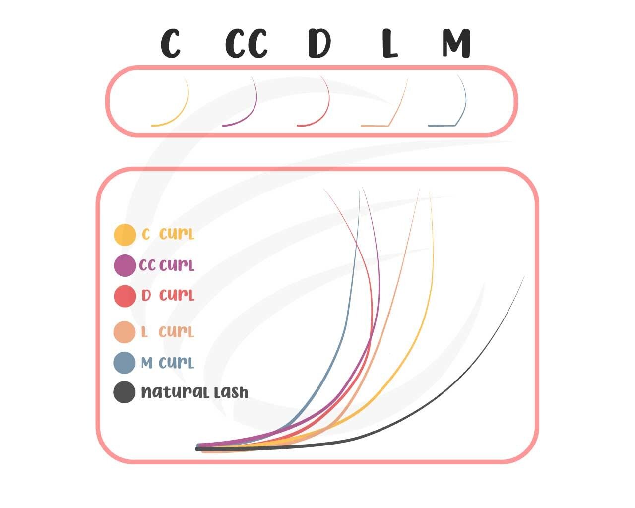 Mazzi su Striscia, Preconfezionati, Ventagli, Volume in Ø 0,06