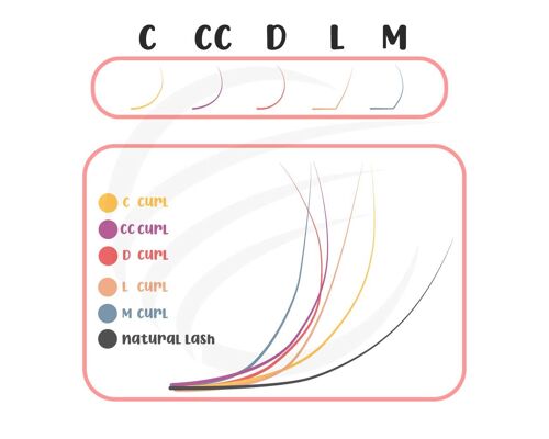 Bouquets sur Bande, Pré-Faits, Fans, Volum en Ø 0,06