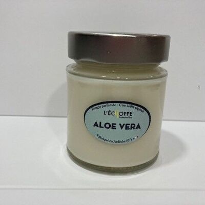 VELA PERFUMADA ALOE VERA 135 G DE CERA DE SOJA 100% VEGETAL