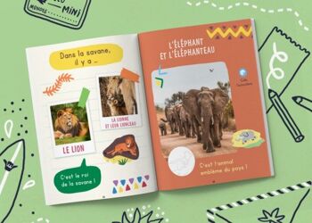 Côte d'Ivoire - Cahier d'activités pour enfant 2-3 ans - Les Mini Mondes 7