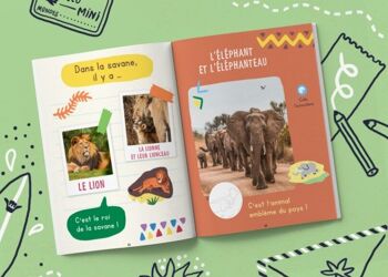 Côte d'Ivoire - Cahier d'activités pour enfant 2-3 ans - Les Mini Mondes 3