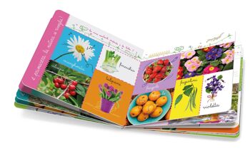 Livre en italien - Encyclopédies Montessori - Les Saisons 1