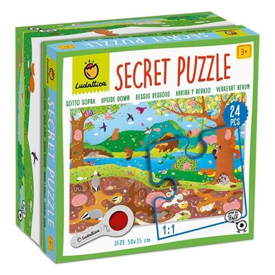 Secret puzzle - Upside down