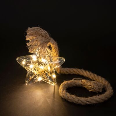 Étoile lumineuse LED 15x15 cm avec corde et fleurs, Noël