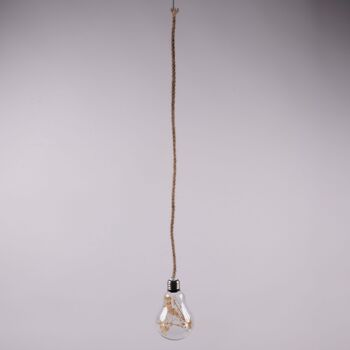 Ampoule LED h. 13 cm avec corde et fleurs, Noël 2