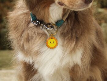 Médaille pour chien/Porte-clé connecté, modèle Sunny 2