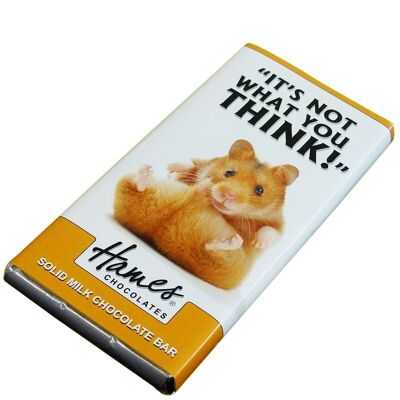 Animals With Attitude - Milk Chocolate Bar - Hamster