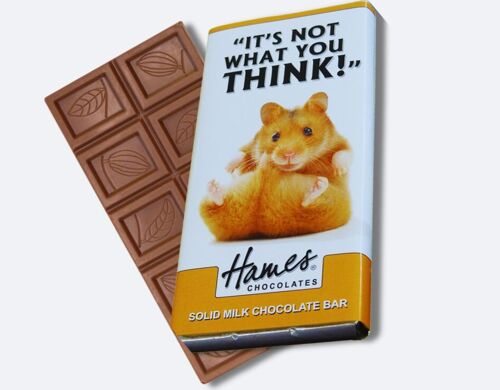 Animals With Attitude - Milk Chocolate Bar - Hamster