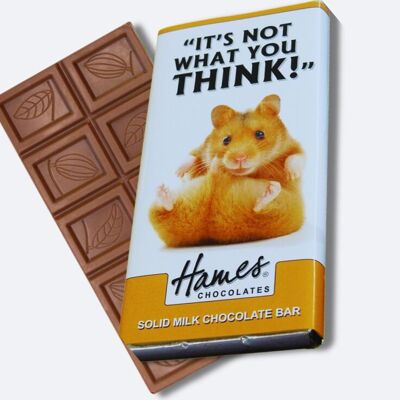 Animals With Attitude - Milk Chocolate Bar - Hamster