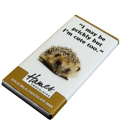 Animals With Attitude - Milk Chocolate Bar - Hedgehog