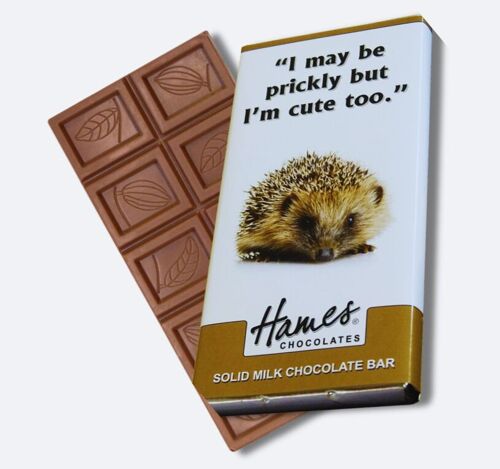 Animals With Attitude - Milk Chocolate Bar - Hedgehog