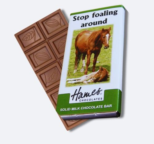 Animals With Attitude - Milk Chocolate Bar - Horse