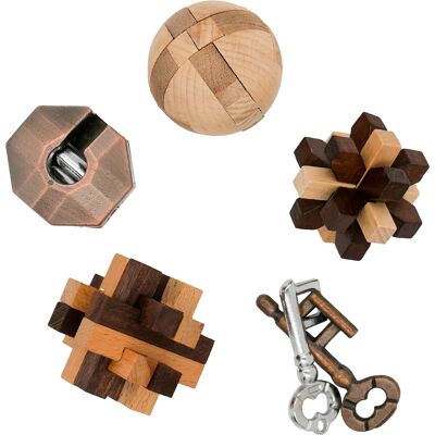 Brainteaser Curated Collection 3 puzzles en bois et 2 puzzles en métal, Project Genius, TG026