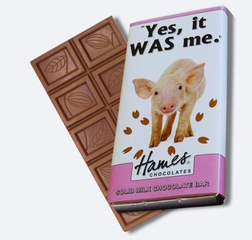 Animals With Attitude - Milk Chocolate Bar - Pig