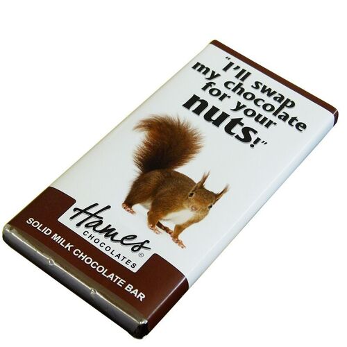 Animals With Attitude - Milk Chocolate Bar - Squirrel