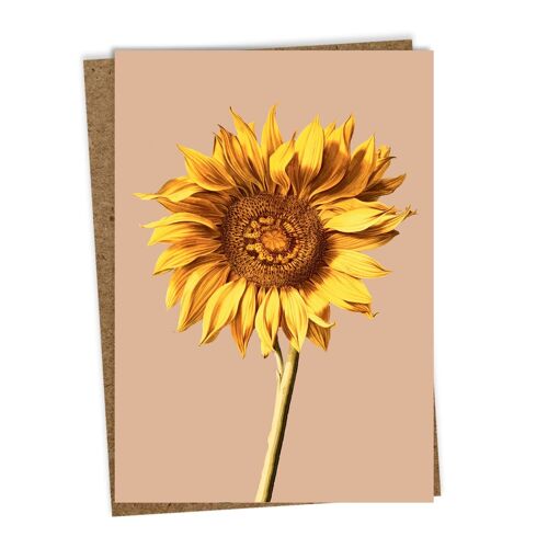Grußkarte Sunflower