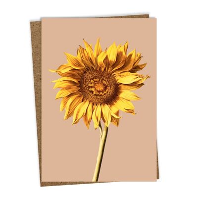 Tarjeta de felicitación de girasol