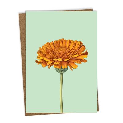 Greeting card marigold