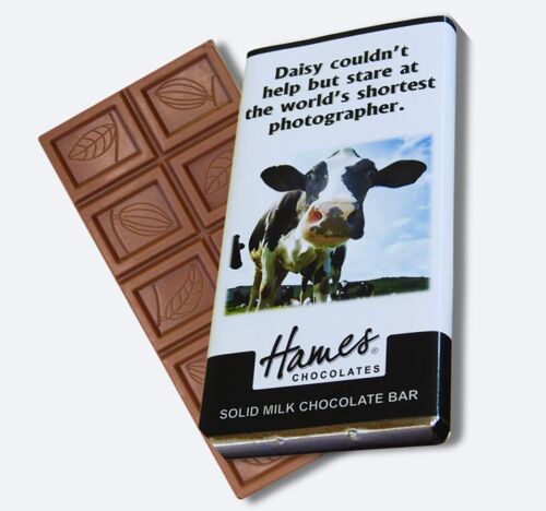 Animals With Attitude - Milk Chocolate Bar- Cow