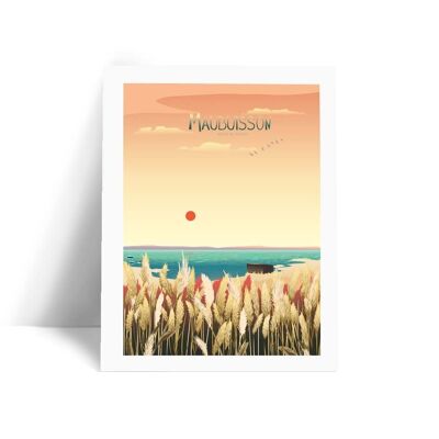 Illustration Maubuisson - Le marais - Carte Postale