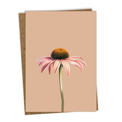 Greeting card Coneflower