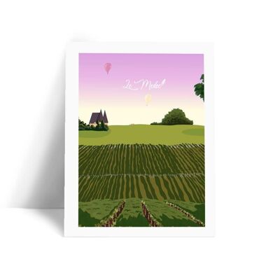 Illustration Médoc - Vignes - Carte postale