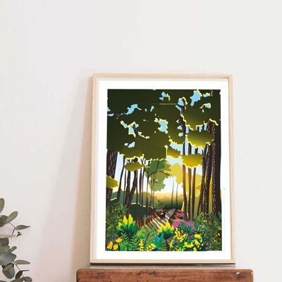 Illustrazione Médoc nella foresta - Poster 30x40 cm