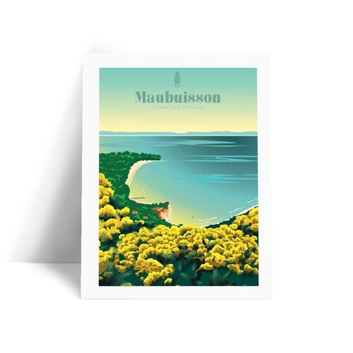 IllustrationMaubuisson - Les mimosas - Affiche 30x40 cm