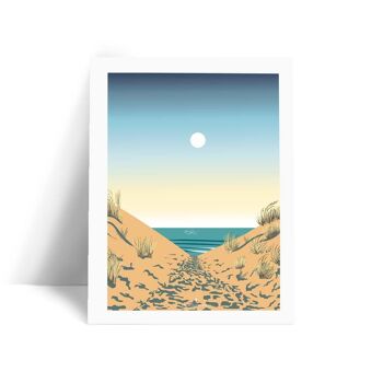 Illustration Océan Atlantique - Allée sauvage - Carte postale 1