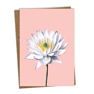 Greeting card water lily
