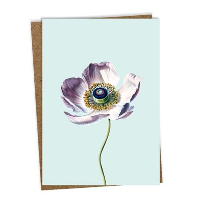 Greeting card anemone