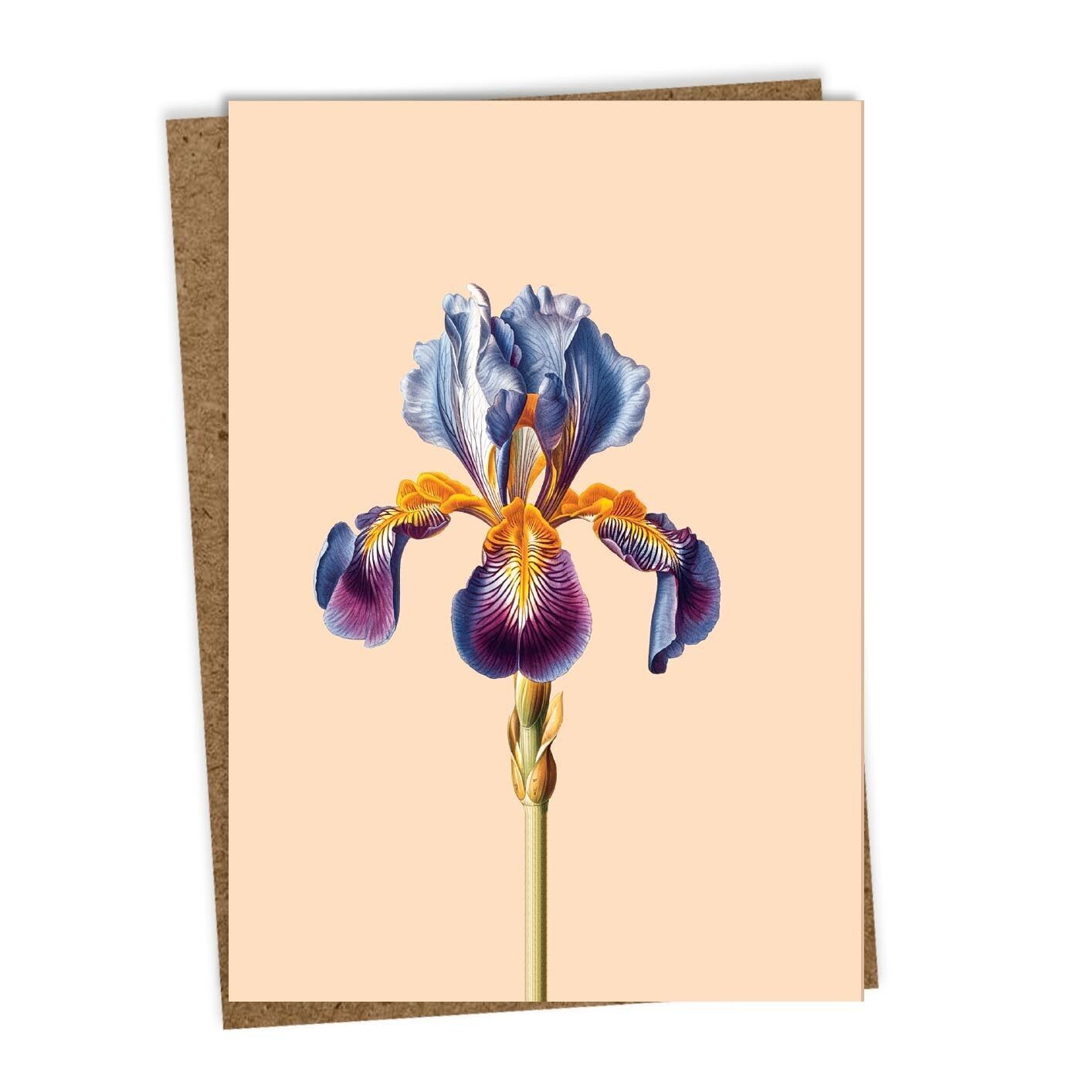 Biglietto di auguri Iris (fiore)