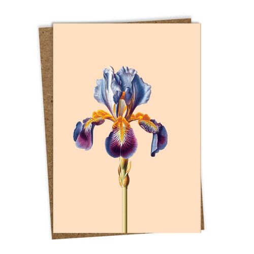 Grußkarte Iris