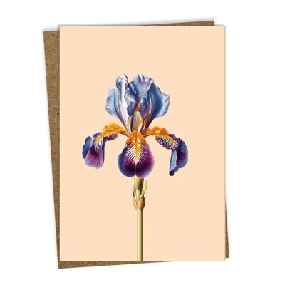 Greeting card Iris
