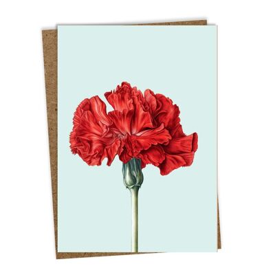 Greeting card carnation